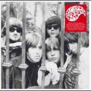 It's The F******* Shadows